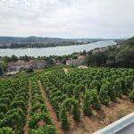 France 2026 – Part 8: The Northern Rhône – Last leg